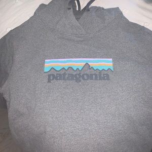 Patagonia Hoodie